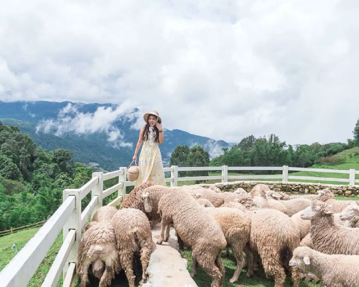 Faloo Mi  อบอวลไปด้วยความสุข