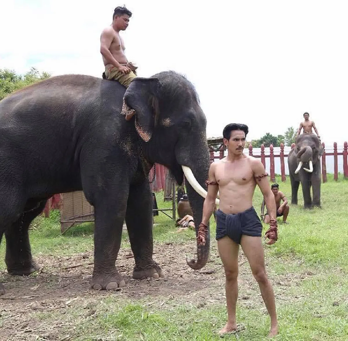 ก็อต จิรายุ จัดเต็มคิวบู๊! สวมบท พระเจ้าเสือ กษัตริย์ผู้คิดท่าแม่ไม้มวยไทย (คลิป)