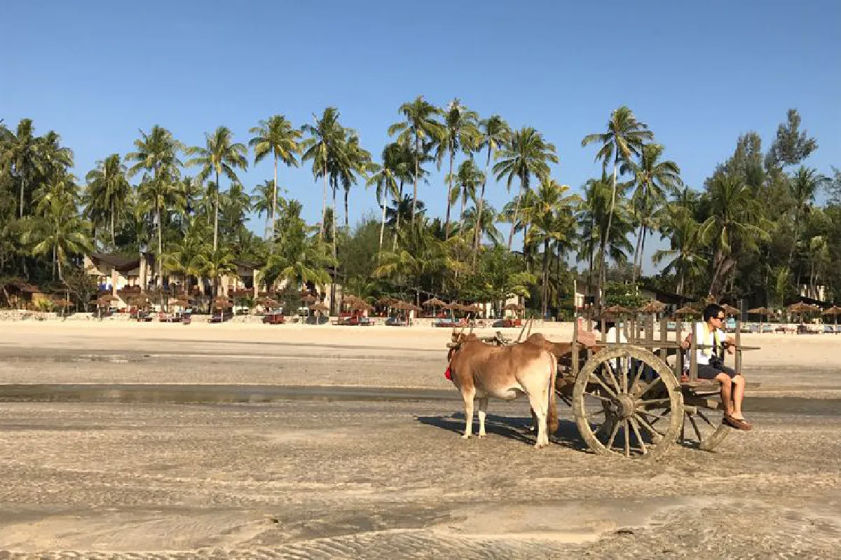 งะปะลี… อัญมณีแห่งยะไข่