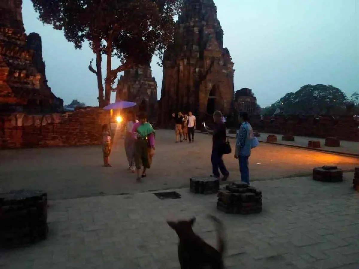 ออเจ้าเฮ! อยุธยาขยายเวลาเปิดให้ชมวัดไชยวัฒนารามถึง 3 ทุ่ม