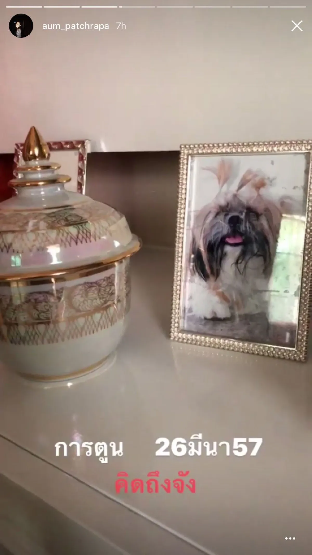 ไม่เคยลืม! “อั้ม” ทำบุญให้หมาตัวโปรด ที่จากไปเมื่อ 4 ปีก่อน