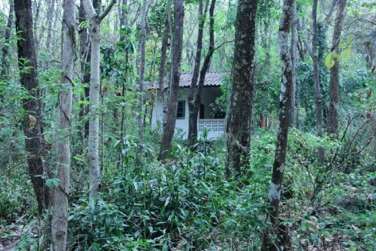 เผย"พระประดิษฐ์"ใช้ชีวิตอย่างสมถะ กุฏิอยู่กลางป่าเงียบสงบ