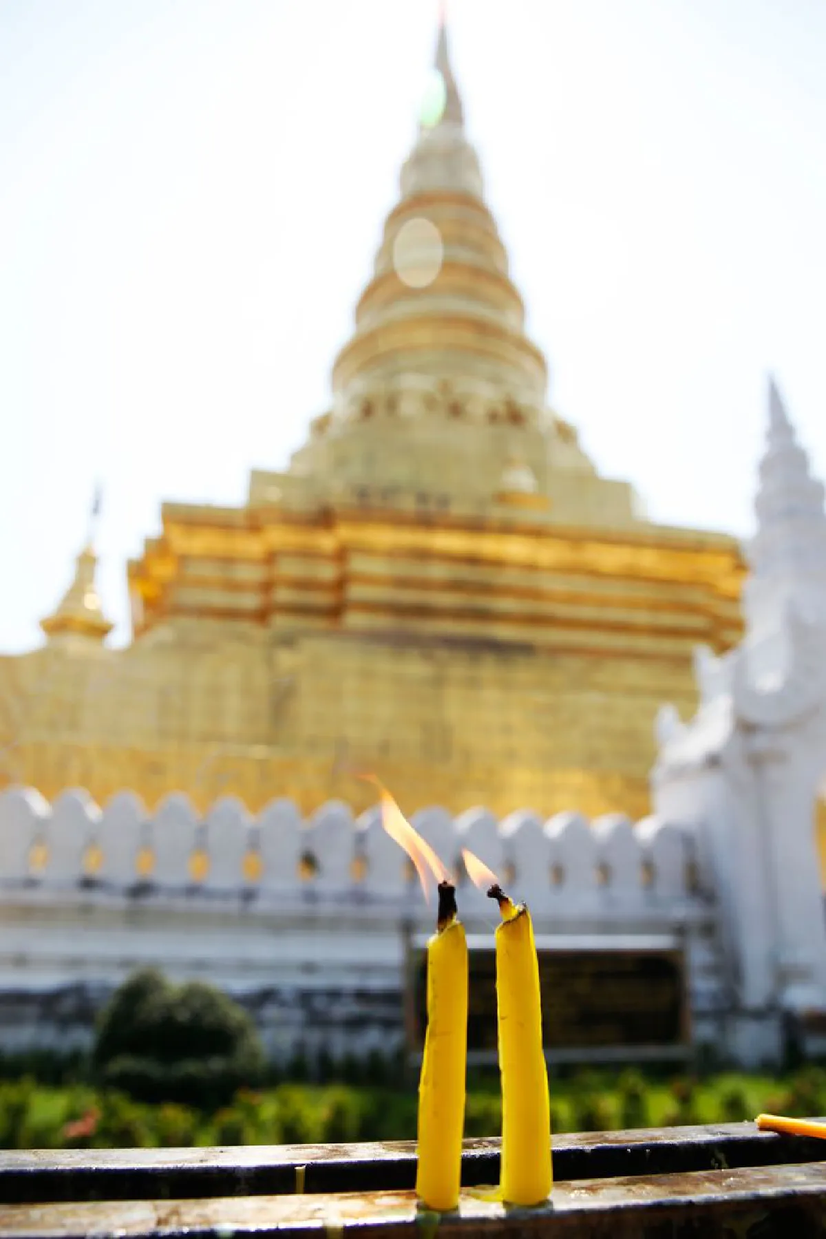 "ม่วงตึ๊ด" ครึกครื้นแบบเนิบช้า