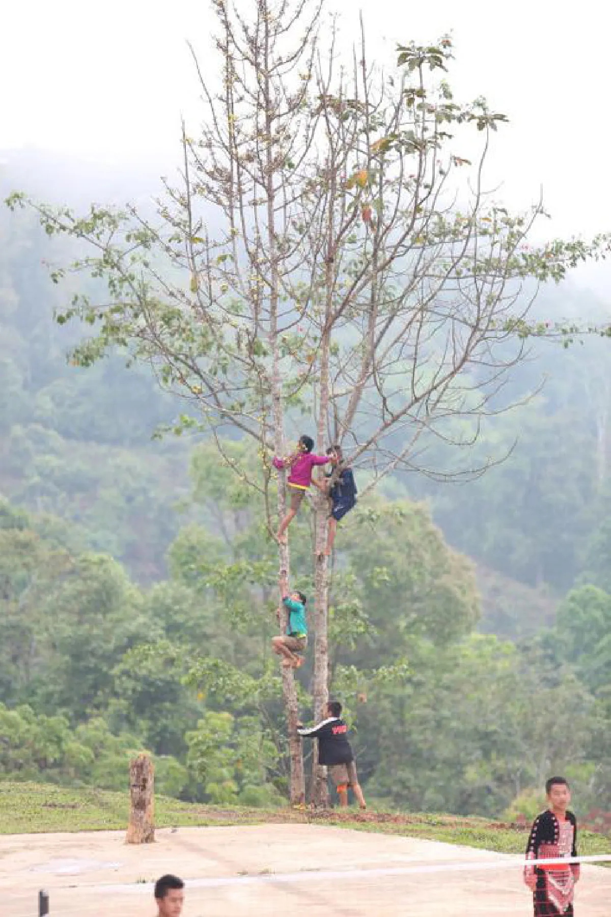 ดอยติ้วโมเดล...สโลว์ไลฟ์บนดอยสูง อดุลย์ จิณะชิต
