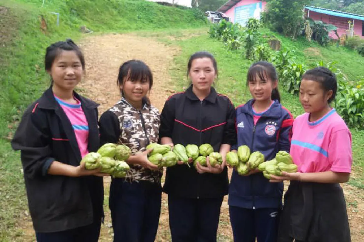 ดอยติ้วโมเดล...สโลว์ไลฟ์บนดอยสูง อดุลย์ จิณะชิต