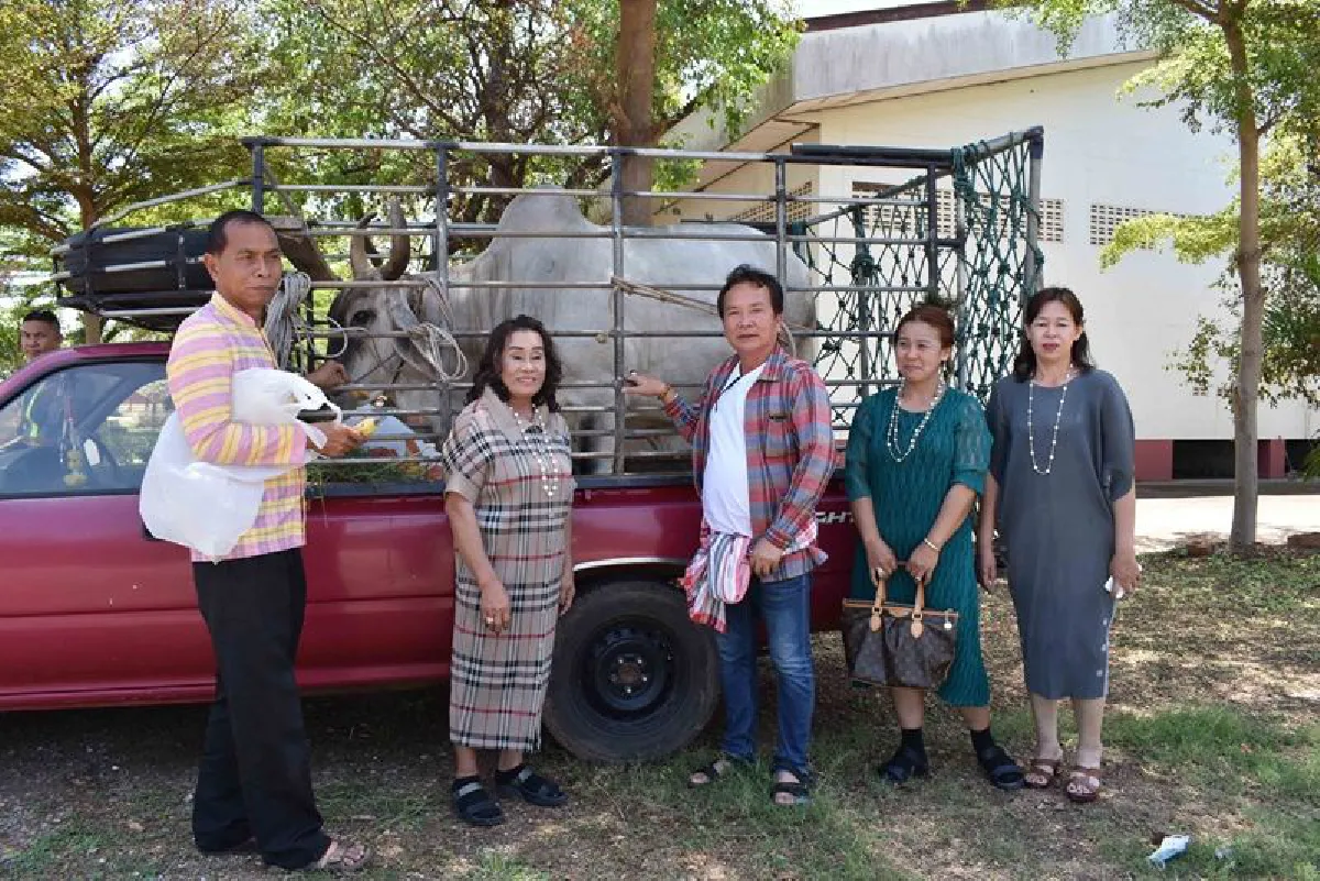 "บุพเพสันนิวาส"มีจริง!เจ้าคณะหนองบัวลำพูไปสู่ขอแม่วัวที่กาฬสินธุ์
