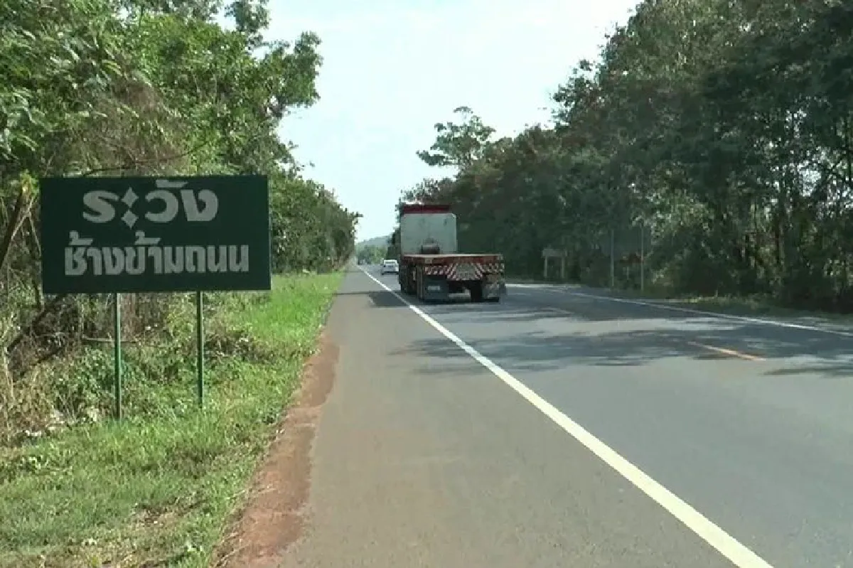 ติดป้ายเตือนคนขับรถระวังสัตว์ป่าข้ามถนนสงกรานต์