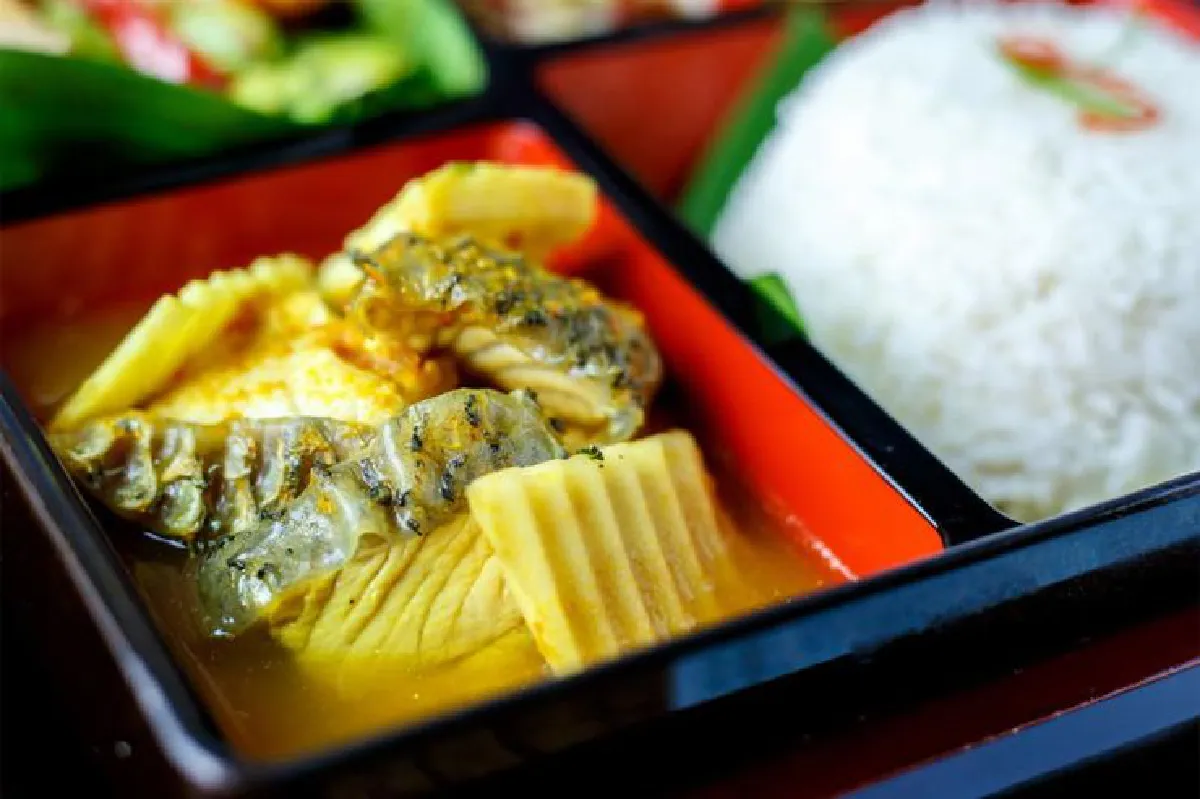 เบนโตะ ท่าเรือเพียร์ 88 เมนูรสเด็ดญี่ปุ่นผสมปักษ์ใต้