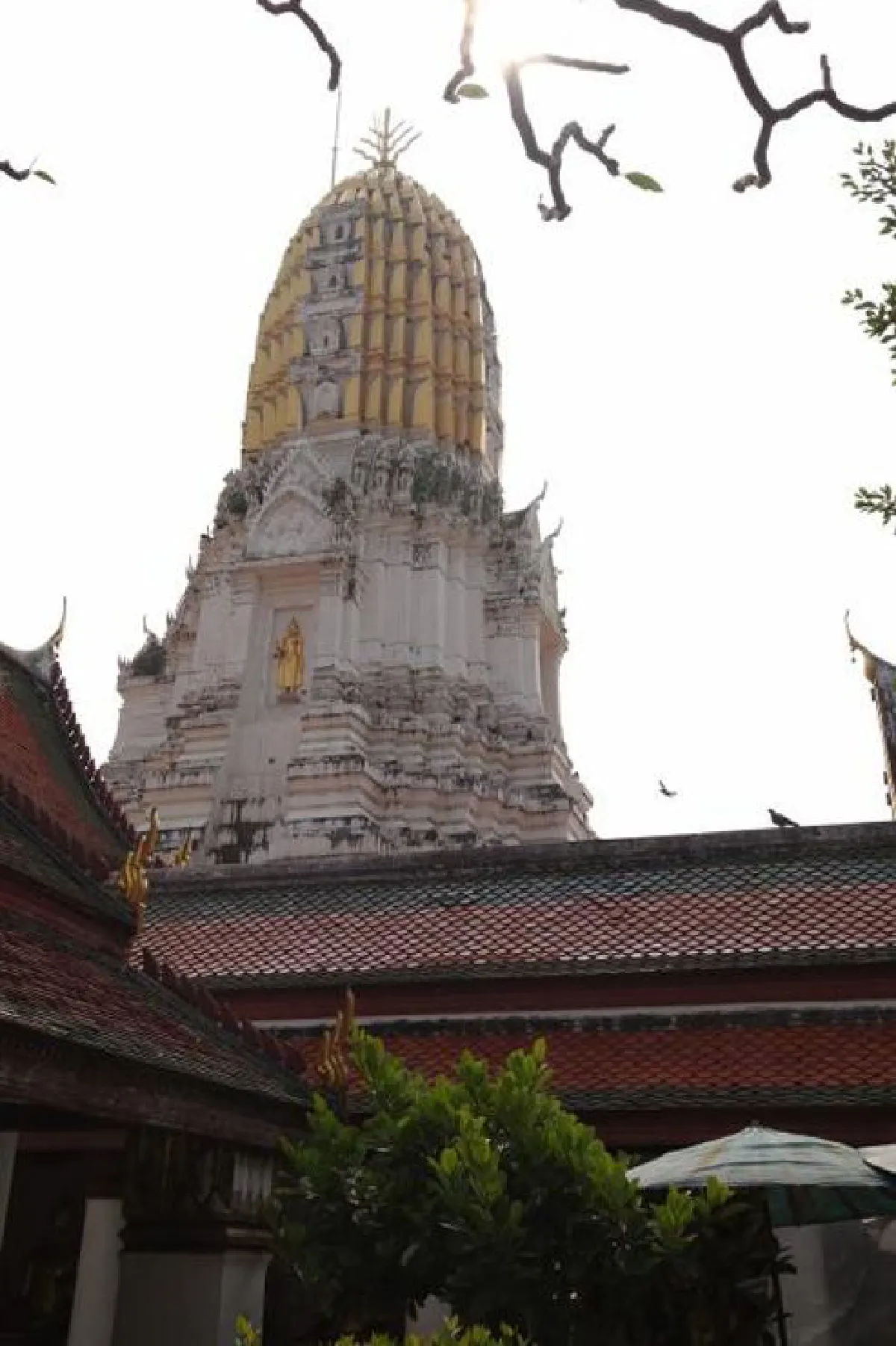 ออกย่ำไปในเมืองสองแคว