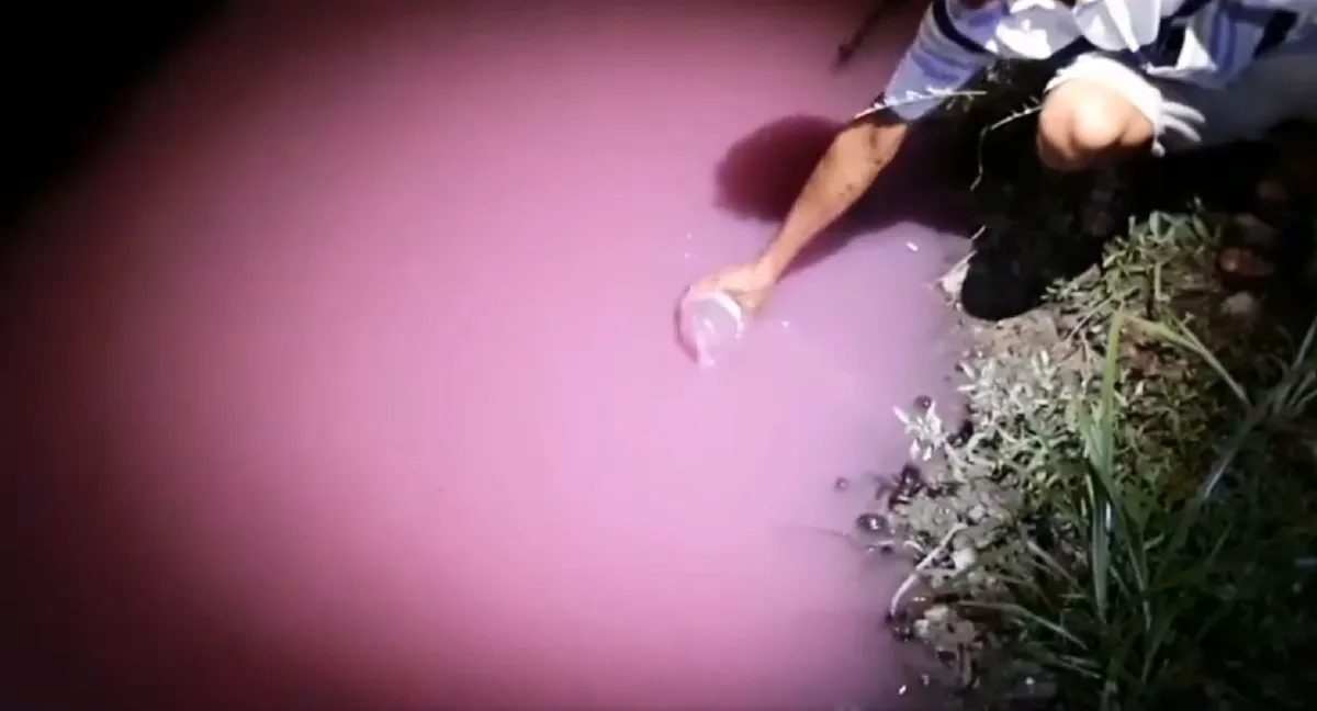 ชาวบ้านผวา! พบน้ำในคลองจ.สมุทรสาคร เป็นสีชมพู