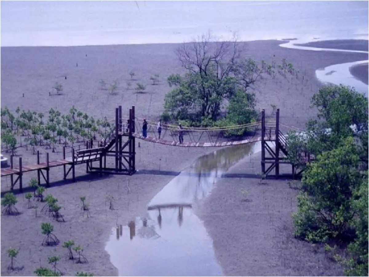 อนุรักษ์เพื่อพัฒนา จากยอดเขาสู่ท้องทะเล ที่ ‘อ่าวคุ้งกระเบน’