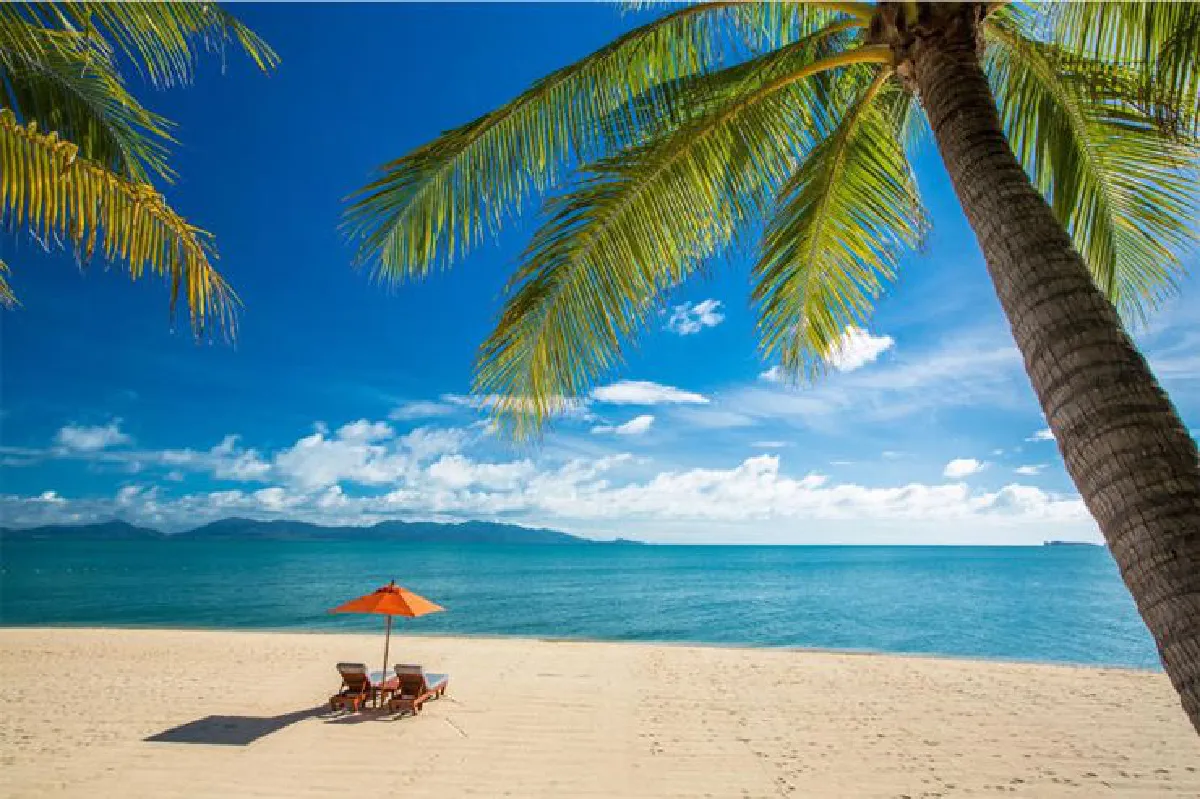 TravelNews