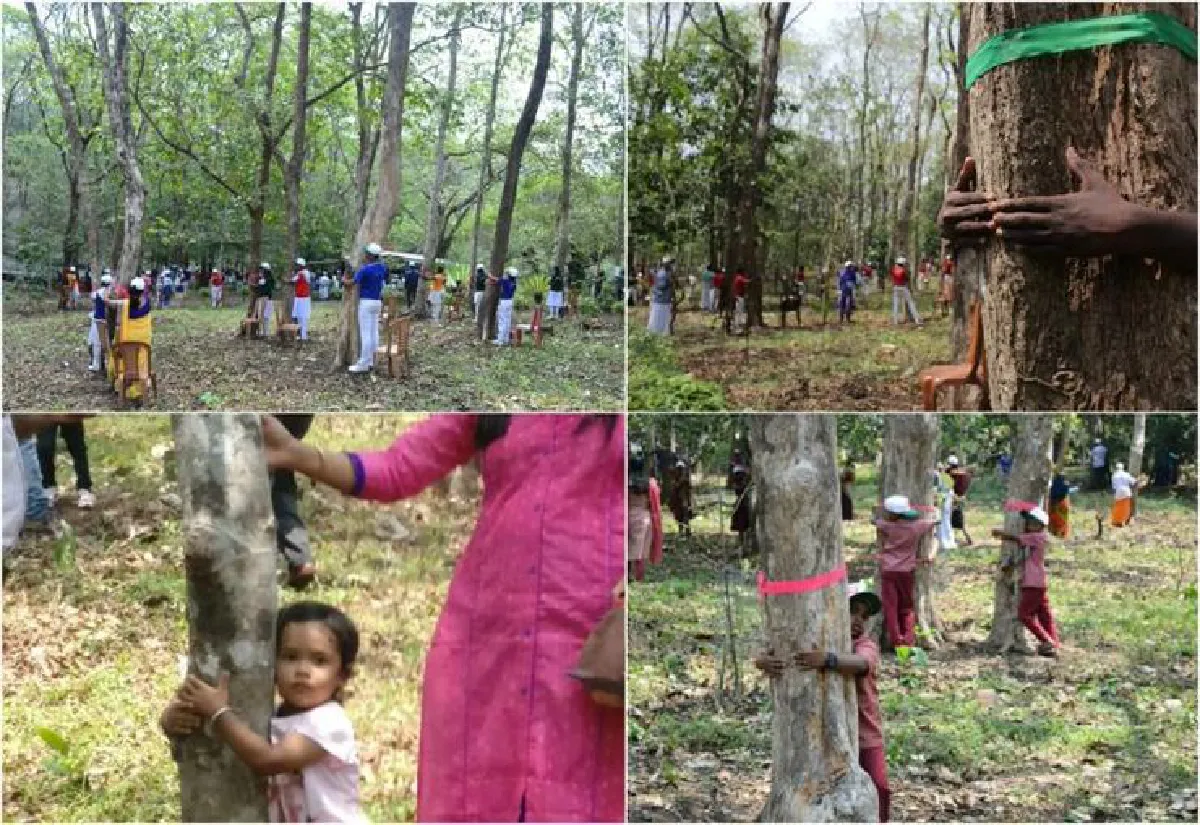 โอบกอดต้นไม้