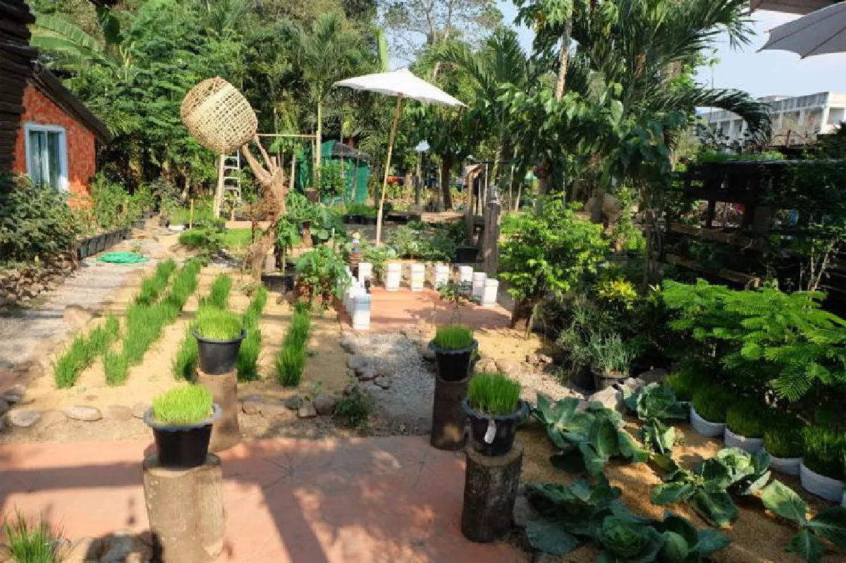 ร้านเด็กน้อยพอเพียง งานวิจัยในชีวิตจริง