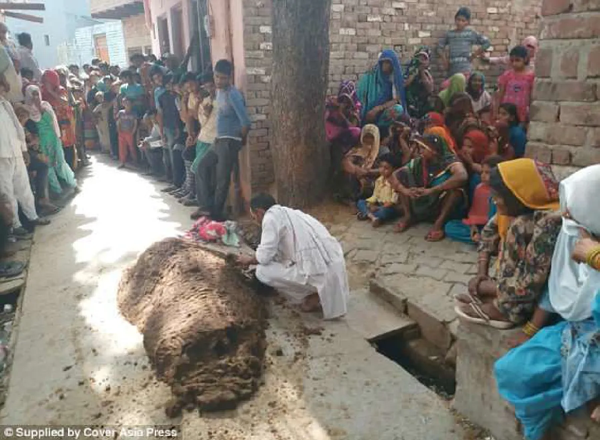 สาวอินเดียตายเพราะสามีเชื่อหมองู