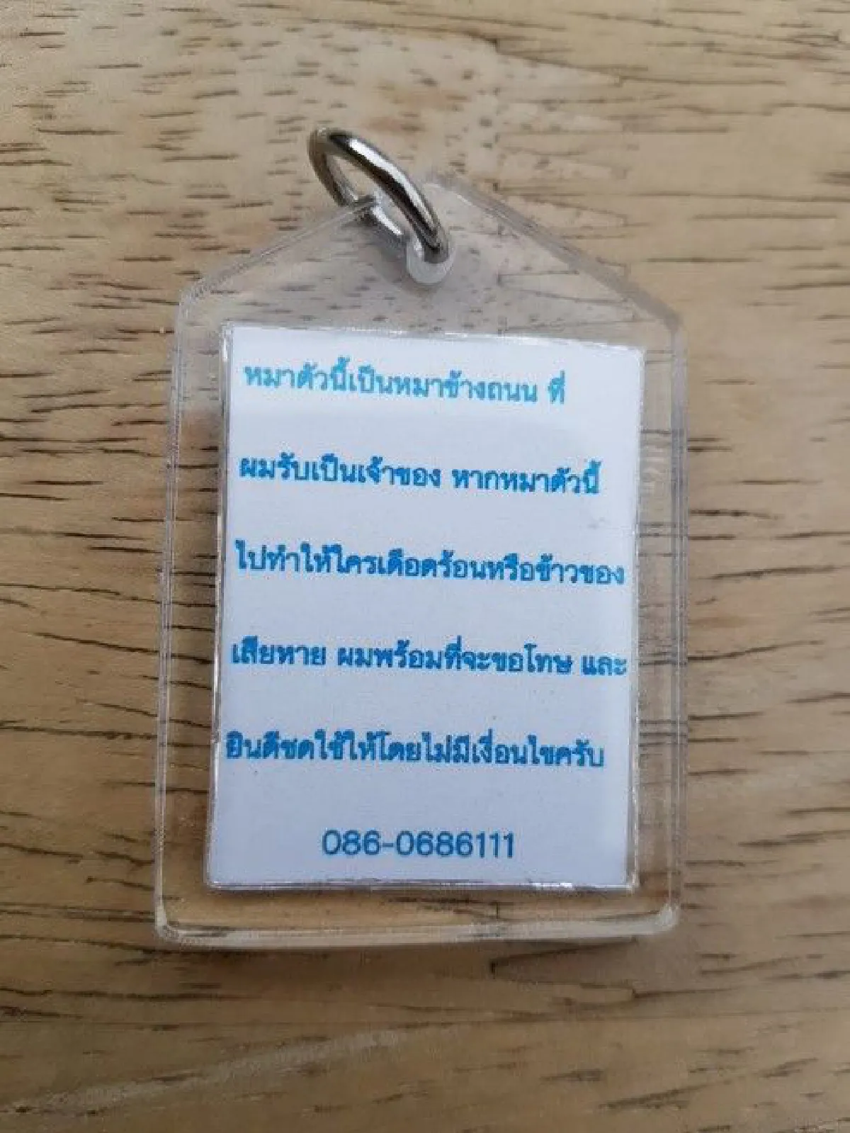 หนุ่มรับผิดชอบสังคม! คล้องรูปตนเองไว้บนคอหมาบอก "ยินดีชดใช้หากเกิดความเสียหาย"