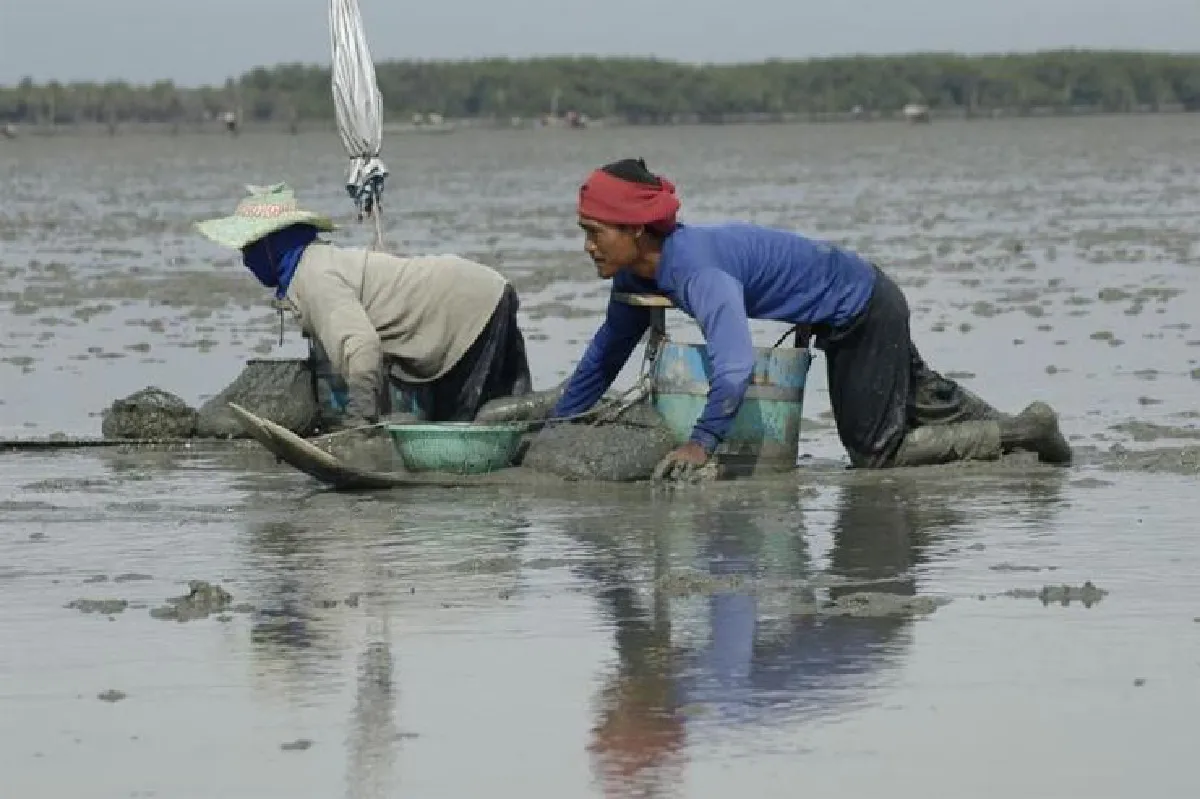 บ้านแหลมชวนแต่งไทย ลุยเลน ละเลงโคลน