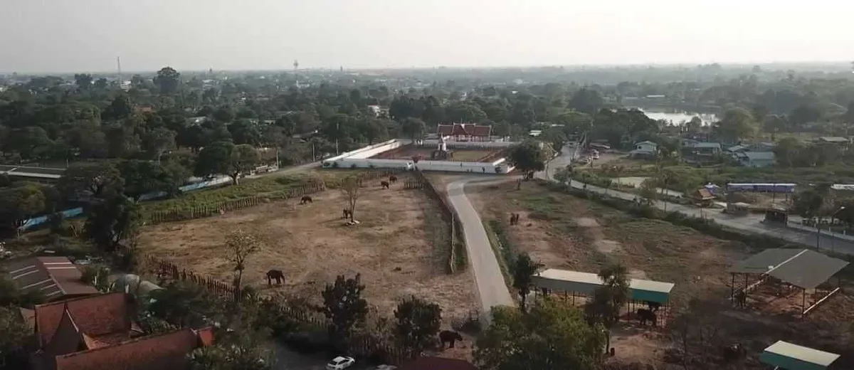 อยุธยาเตรียมบูรณะ "เพนียดหลวงคล้องช้าง" หลังรัฐบาลให้งบ 30 ล้าน