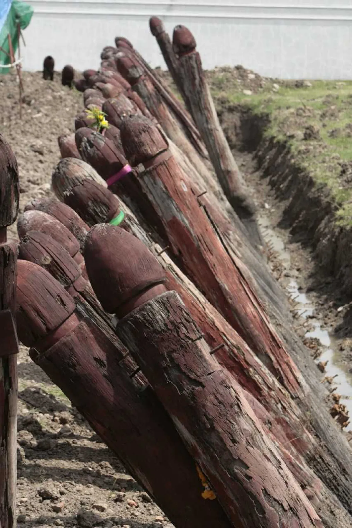 อยุธยาเตรียมบูรณะ "เพนียดหลวงคล้องช้าง" หลังรัฐบาลให้งบ 30 ล้าน