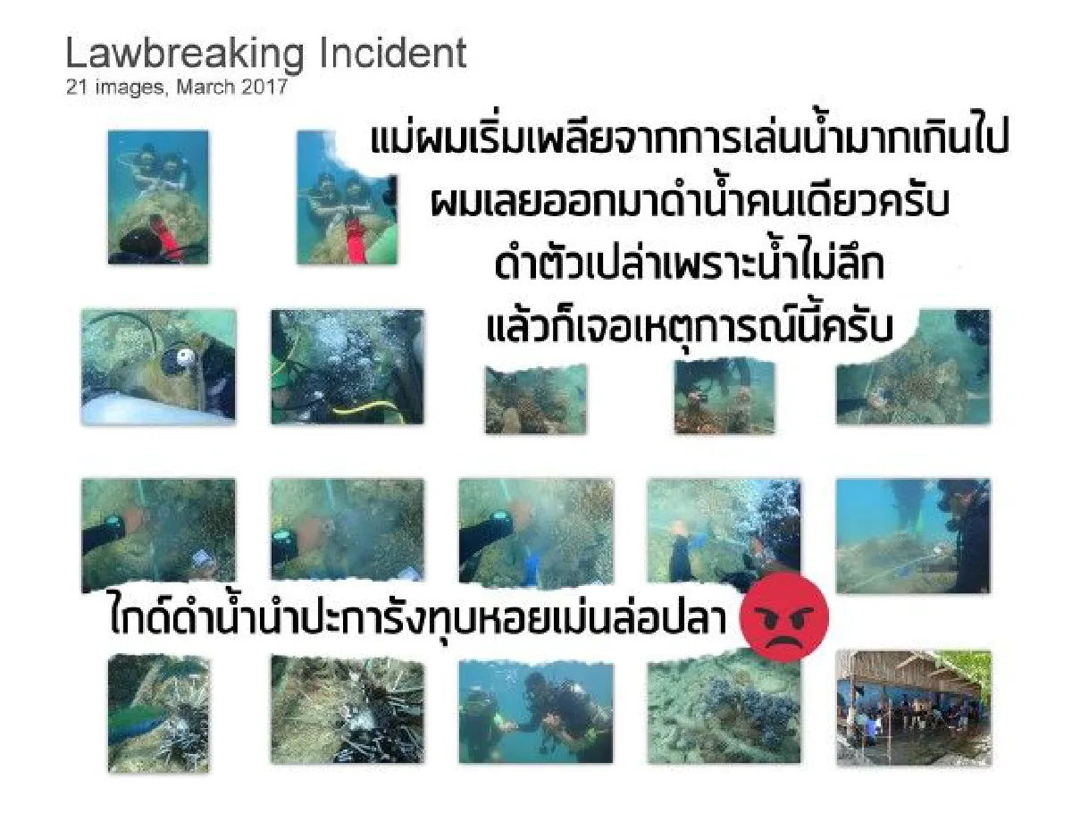 หนุ่มถูกฟ้องเพราะแฉเรื่องไกด์ทุบหอยเม่นล่อปลา-ทำลายท้องทะเล