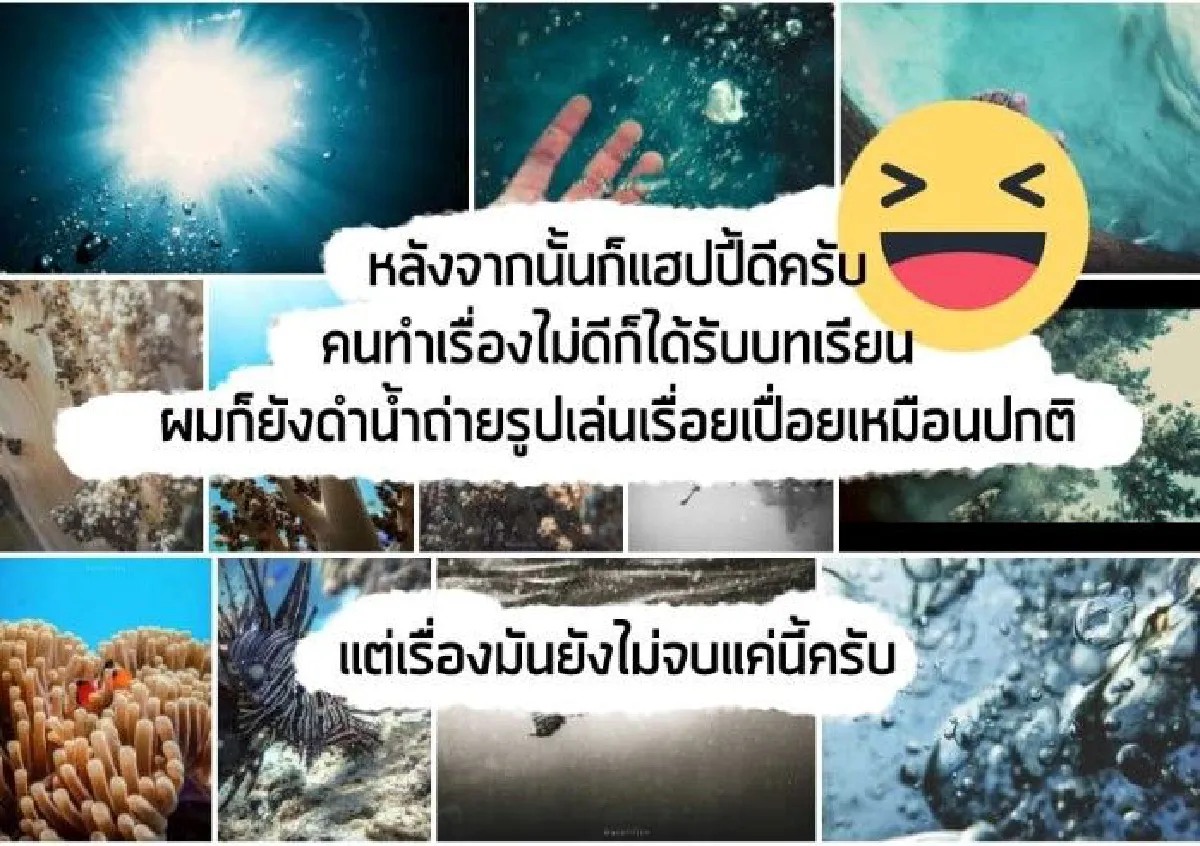 หนุ่มถูกฟ้องเพราะแฉเรื่องไกด์ทุบหอยเม่นล่อปลา-ทำลายท้องทะเล