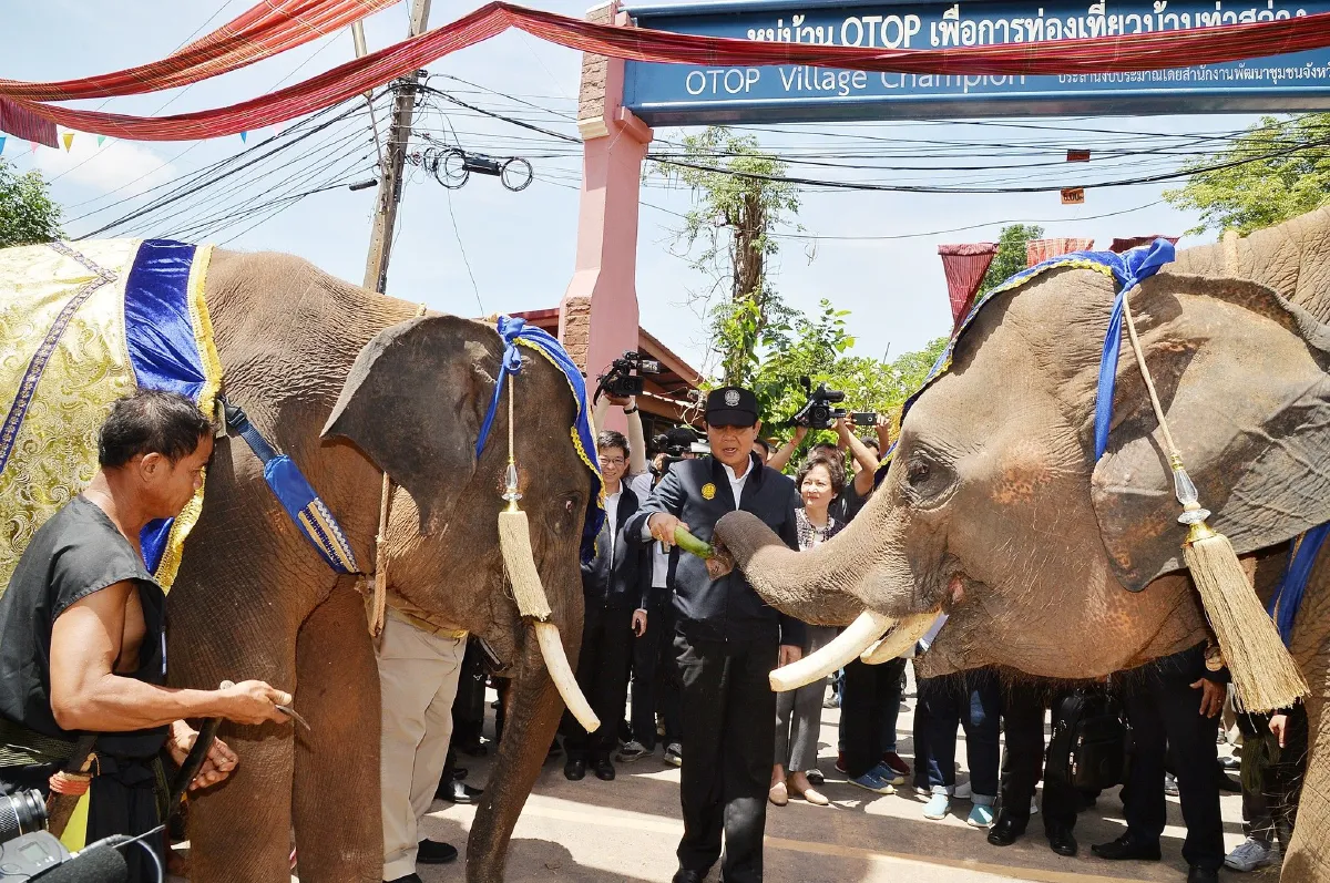 สุรินทร์จัดช้างแฝดคู่แรกของโลกต้อนรับ"นายกฯ"