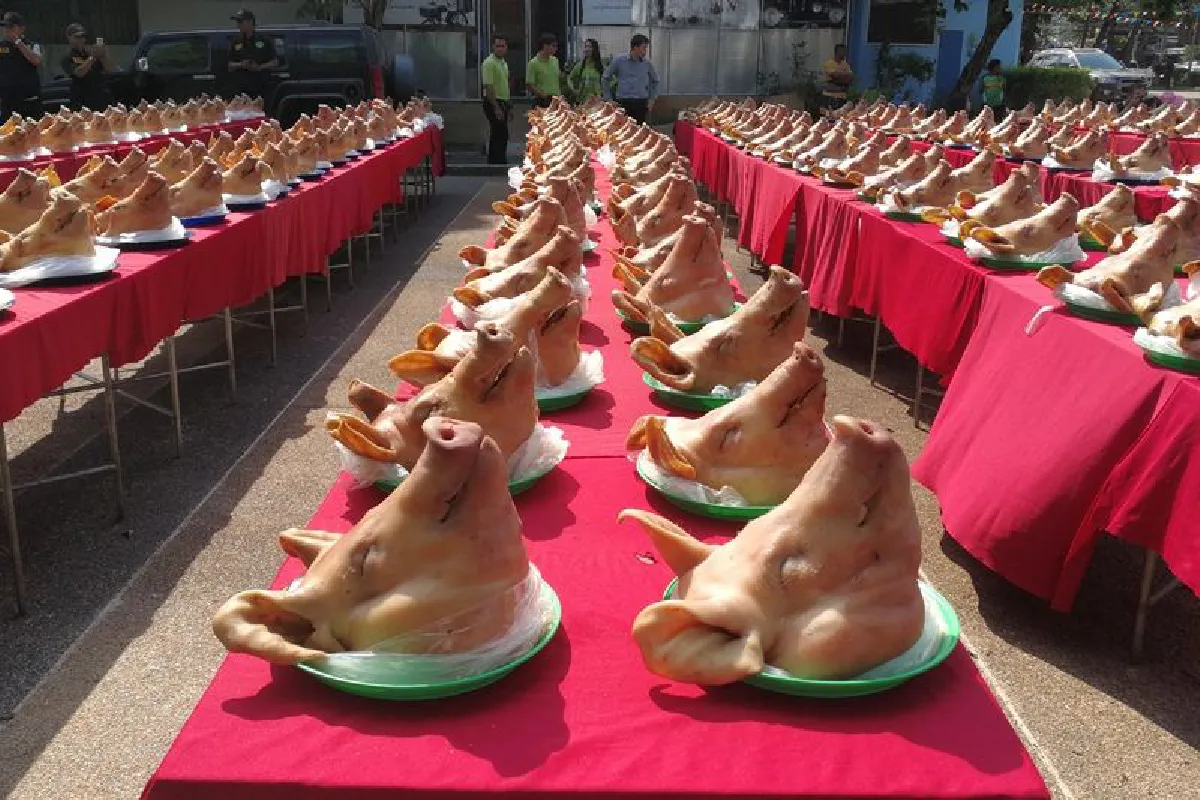 ทุบสถิติโลก-พิธีบวงสรวงหัวหมู4พันตัวโชว์ศักยภาพส่งเนื้อสุกรไปนอก