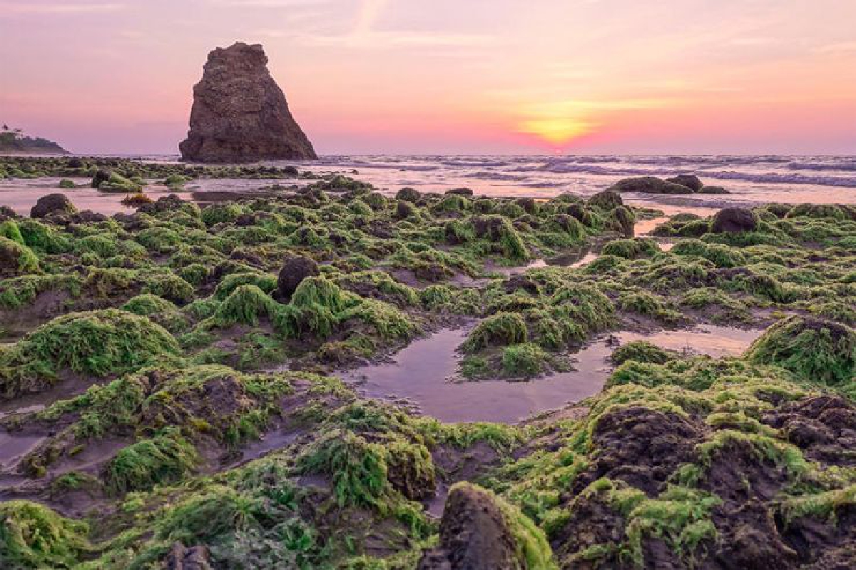 ท่องรัฐซาบาห์ เที่ยวเกาะเลาะป่าตามหาบ่อโคลน ท่องรัฐซาบาห์ เที่ยวเกาะเลาะป่าตามหาบ่อโคลน