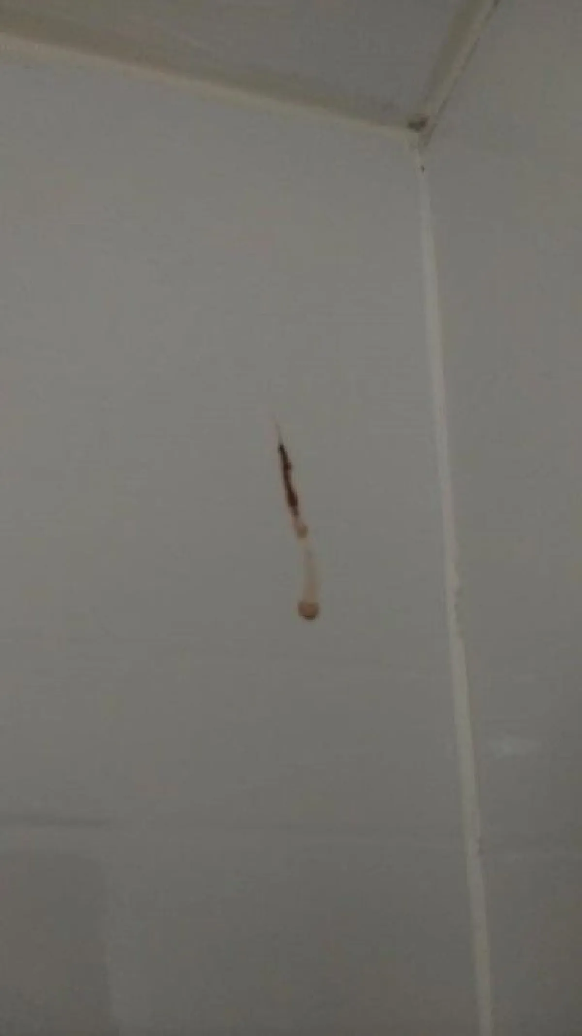 อุทาหรณ์โครงสร้างบ้านแบบทาวน์โฮม หลังคาติดกันระวังความปลอดภัยให้ดี