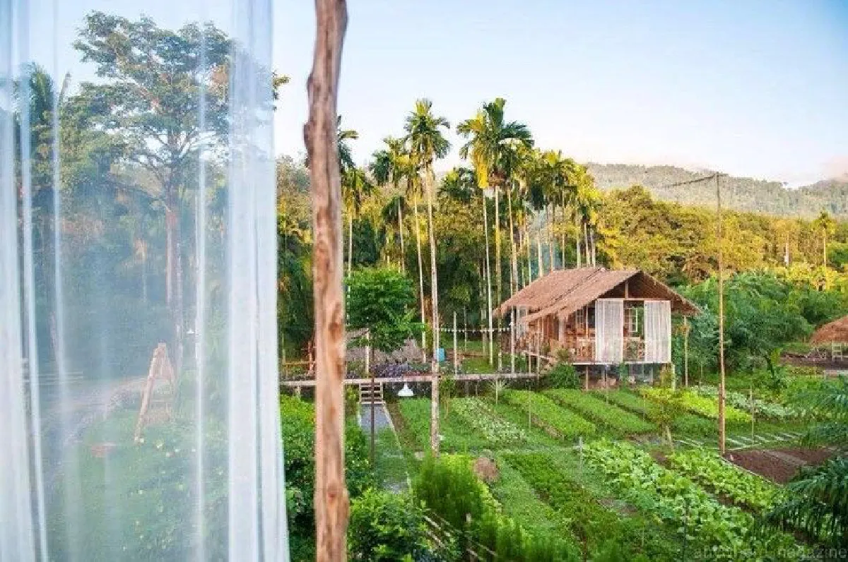 "บ้านไร่ไออรุณ" ประกาศไม่มีนโยบายให้เซเลป-ดาราพักฟรีแลกการโปรโมท