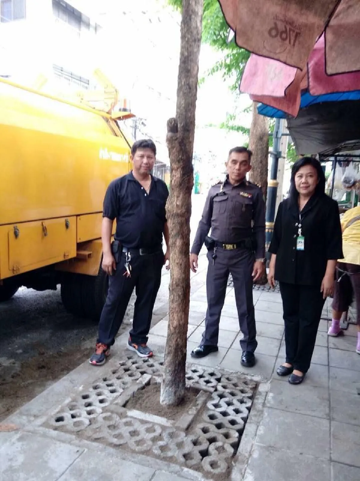 คนเทปูนปินโคนต้นไม้ขอโทษ อ้างรู้เท่าไม่ถึงการณ์