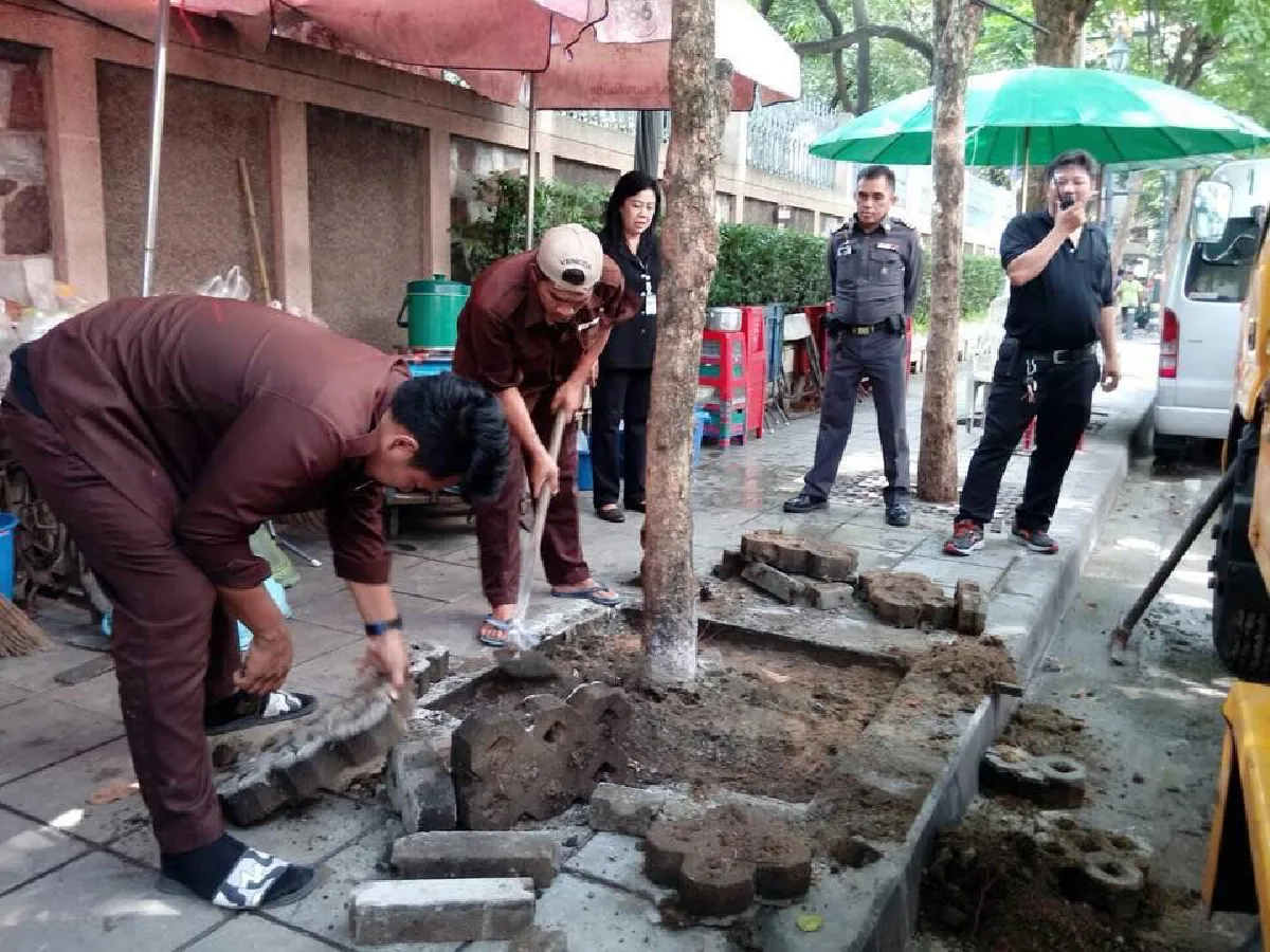 คนเทปูนปินโคนต้นไม้ขอโทษ อ้างรู้เท่าไม่ถึงการณ์