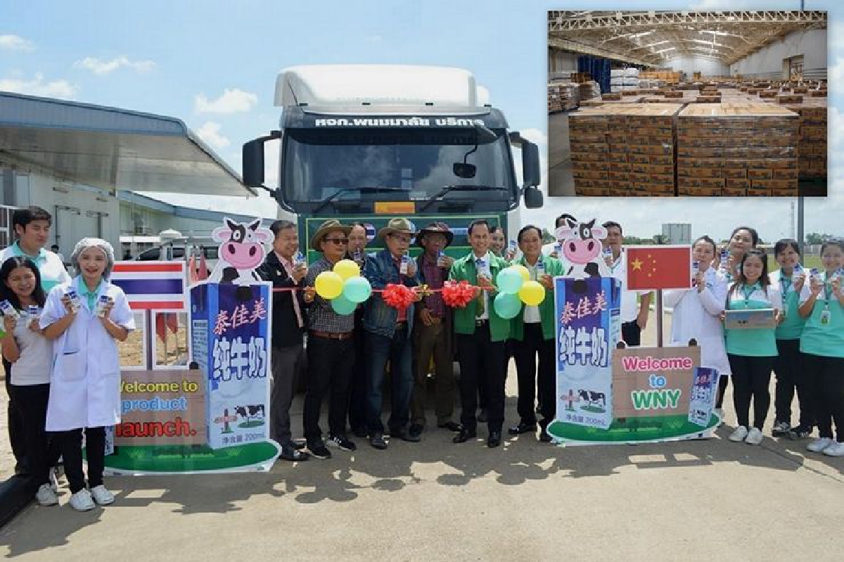"นมวังน้ำเย็น"บุกตลาดจีนส่งล็อตแรก120,000กล่อง "นมวังน้ำเย็น"บุกตลาดจีนส่งล็อตแรก120,000กล่อง