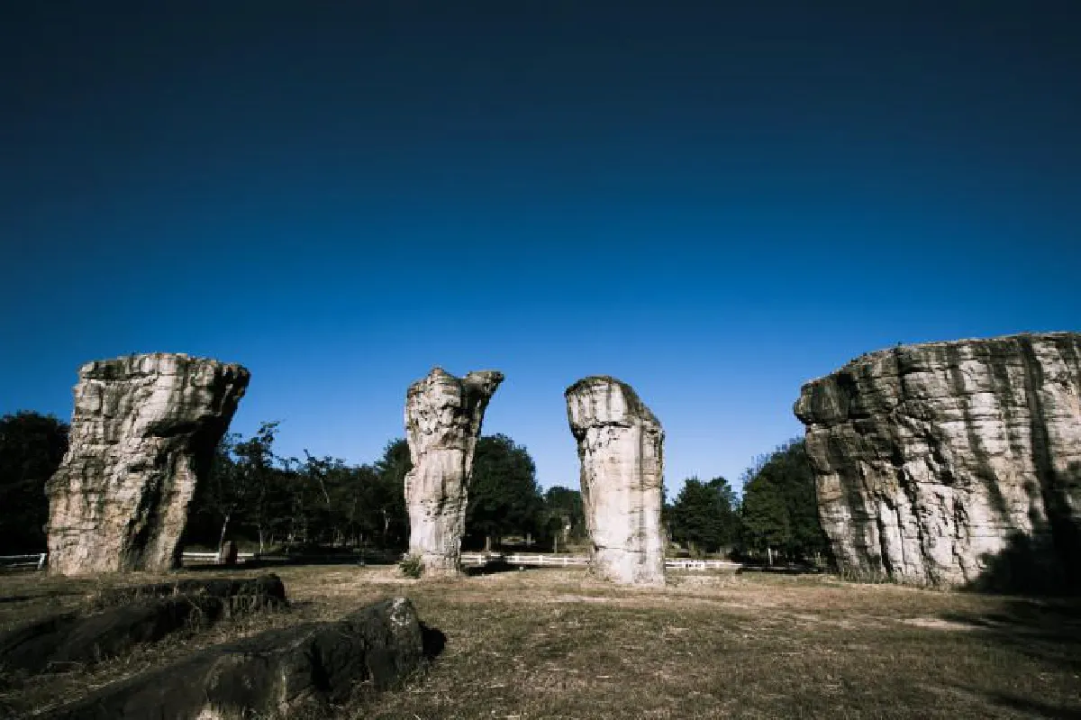 ความสุขหลังชัตเตอร์ ‘November25’