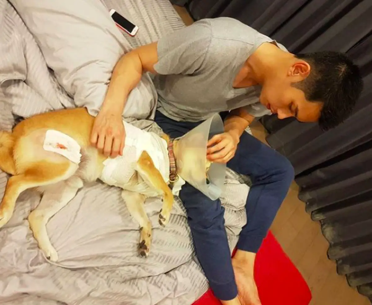 “กันต์” โกรธจัด! หลังสุนัข 2 ตัว ถูกพิทบูลเพื่อนบ้านไล่กัดจนได้รับบาดเจ็บ