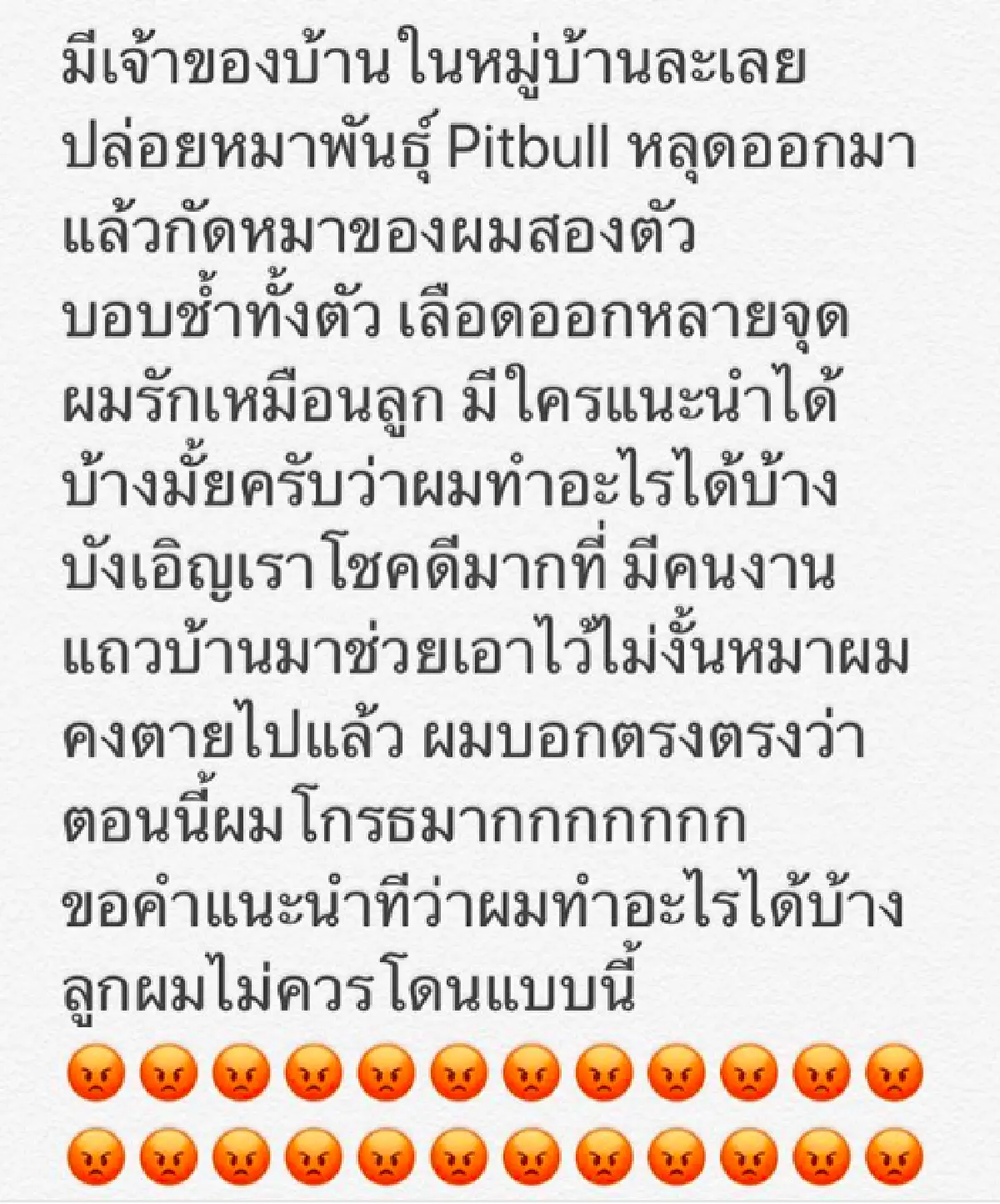 “กันต์” โกรธจัด! หลังสุนัข 2 ตัว ถูกพิทบูลเพื่อนบ้านไล่กัดจนได้รับบาดเจ็บ