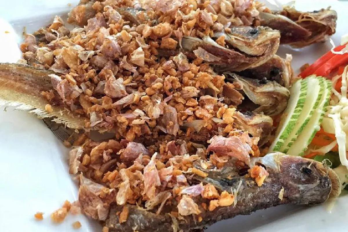 ไวน์พอร์ท บรรยากาศสุดโรแมนติกริมเจ้าพระยา