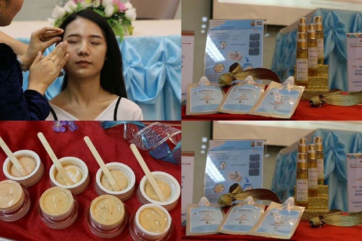 ม.ขอนแก่นโชว์สกัดยางนาเป็นครีมรองพื้นสวยด้วยธรรมชาติ ม.ขอนแก่นโชว์สกัดยางนาเป็นครีมรองพื้นสวยด้วยธรรมชาติ