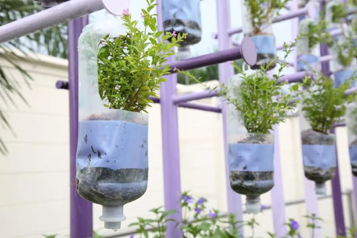 สวนบำบัดลอยฟ้า ใหญ่ที่สุดในไทย