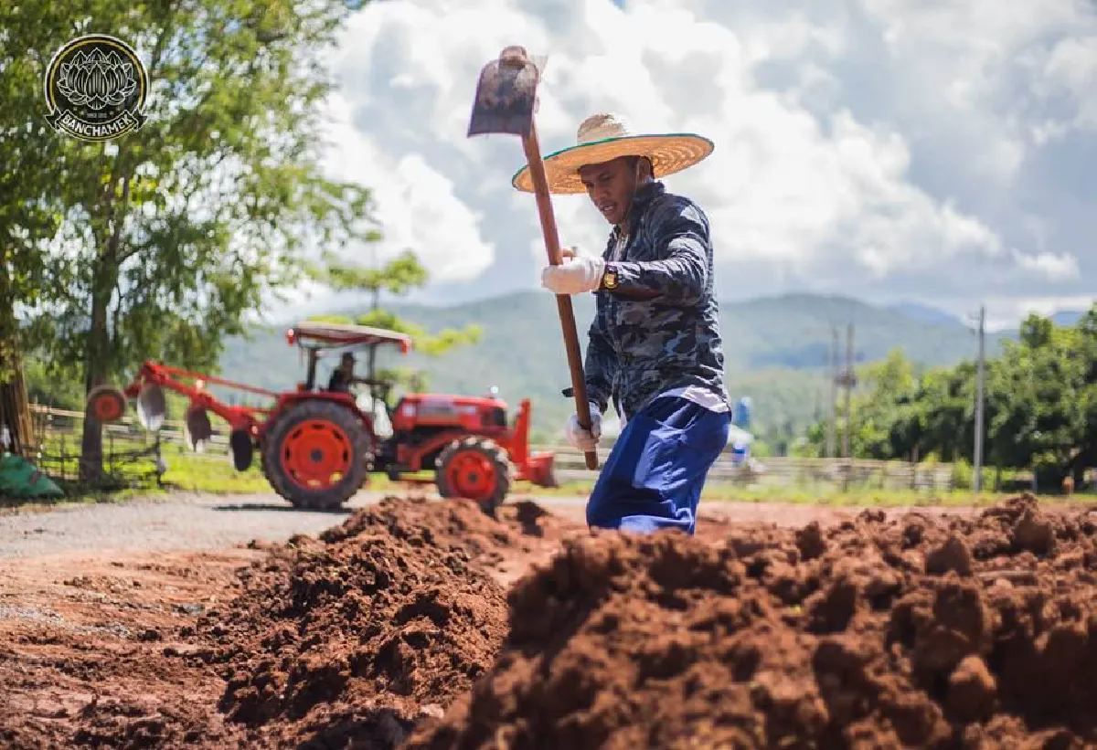 สูงสุดคืนสู่สามัญ “บัวขาว” กลับสู่รากเหง้าชาวนา ลงมือขุดดิน-ทำนาด้วยสองมือของตัวเอง