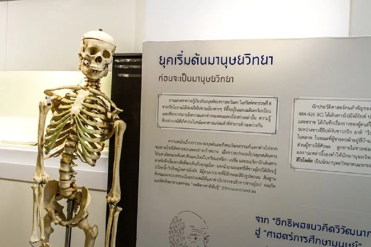 นิทรรศการมานุษยวิทยาพัฒนา-กาล ในการประชุมเครือข่ายมานุษยวิทยาไทย ครั้งที่ 1 หัวข้อ มานุษยวิทยาไทยในโลกวิชาการและสาธารณะ จัดแสดงระหว่างวันนี้ – 30 มิถุนายน 2561 ณ ชั้น 2 ศูนย์มานุษยวิทยาสิรินธร (องค์การมหาชน)