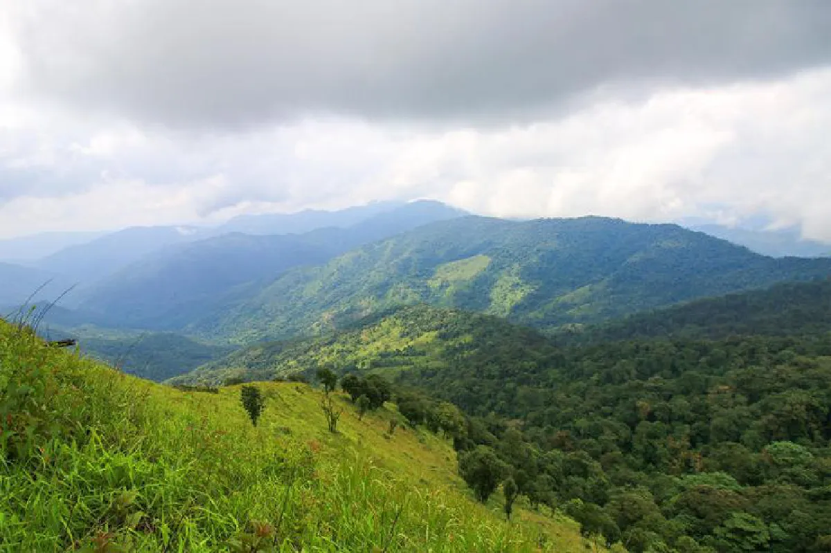 แรงบันดาลใจในสายฝน ‘นายสองสามก้าว’