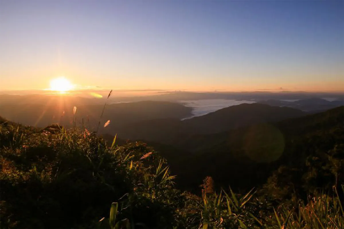 แรงบันดาลใจในสายฝน ‘นายสองสามก้าว’