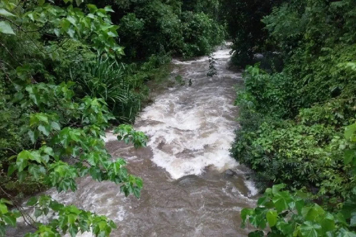 ฝนตกหนักน้ำป่าหลาก! อุทยานฯปิดน้ำตกป่าละอูชั่วคราว
