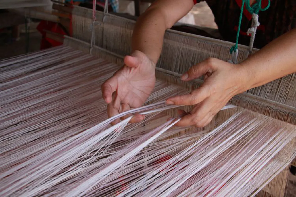 เพลาเพลินจัดแสดงเทศกาลปทุมมาราชินีป่าฝน พร้อมสัมผัสกลิ่นหอมดอกกระเจียวอัตลักษณ์พื้นถิ่นอีสาน สกัดกลิ่นลงผืนผ้า เพิ่มมูลค่าผลิตภัณฑ์ท้องถิ่นสู่สากล