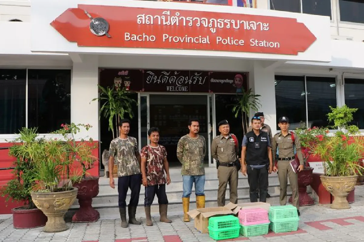 ชาวบาเจาะผวากล่องต้องสงสัยตำรวจไปตรวจเป็นนกเงือก