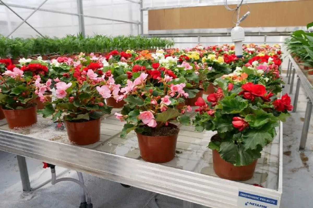 ถอดโมเดล‘อิสราเอล’ ดึงนวัตกรรมเสริมแกร่งเกษตร