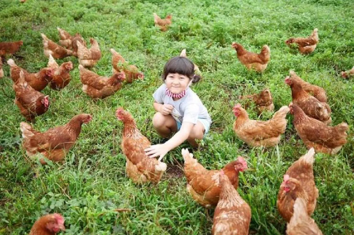 กินดีมีคุณภาพ ดั่งคนในครอบครัว ‘สิรินทร์ฟาร์ม’