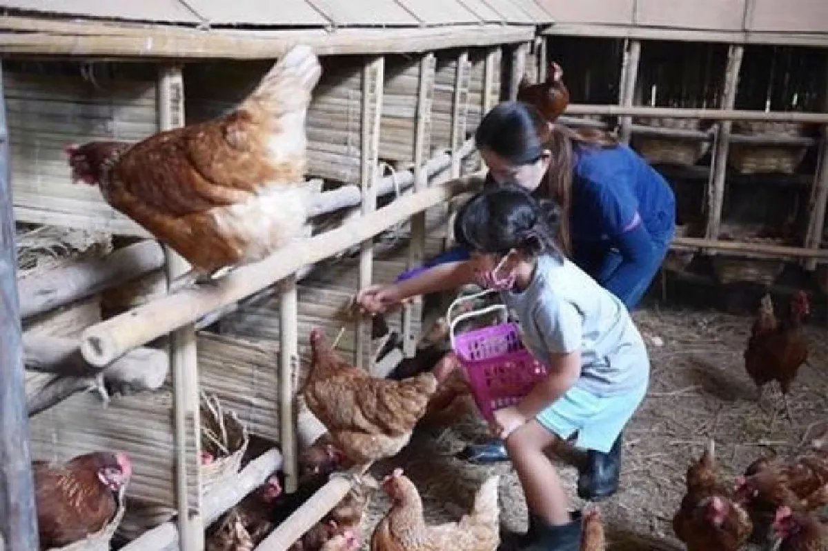 กินดีมีคุณภาพ ดั่งคนในครอบครัว ‘สิรินทร์ฟาร์ม’