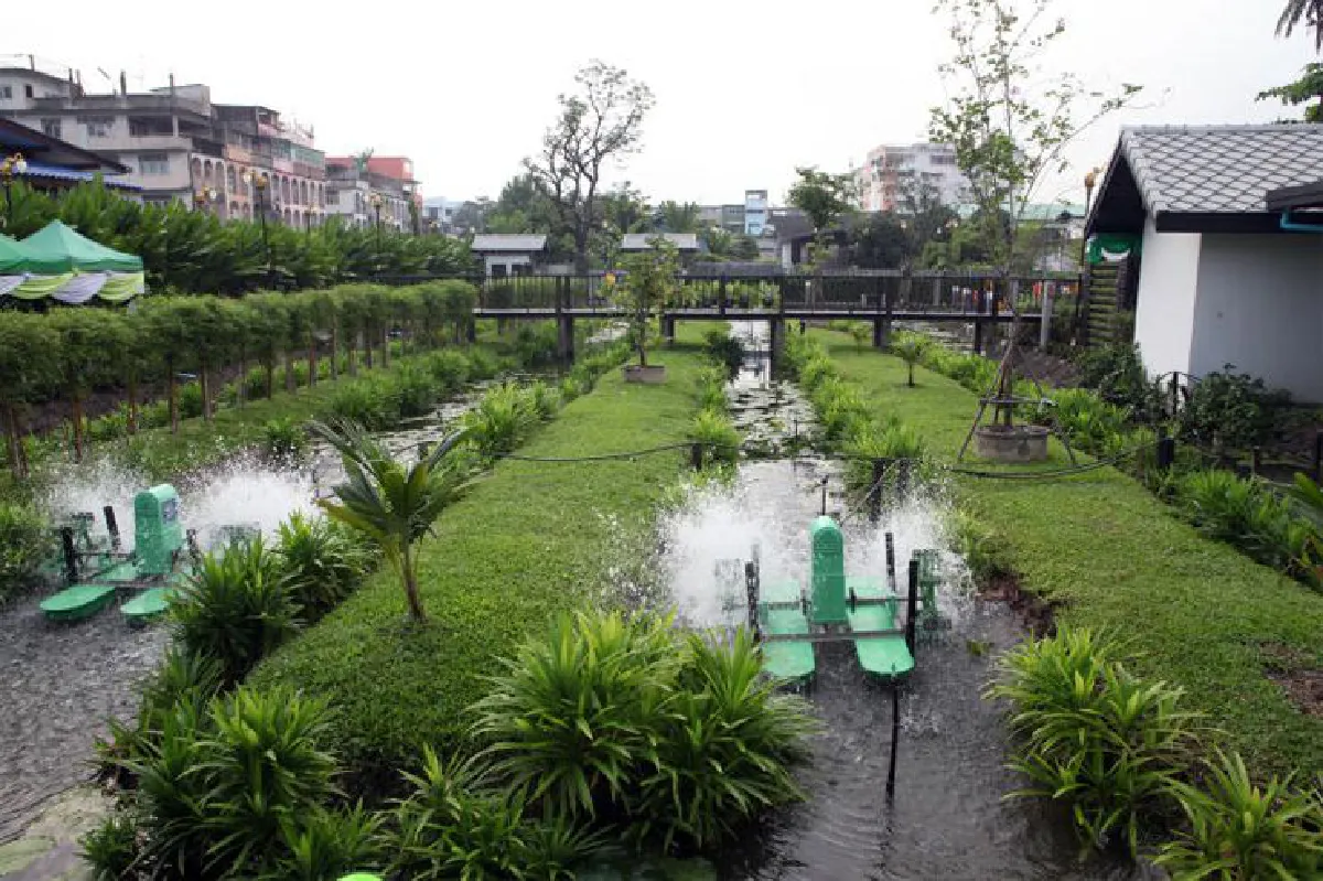 ปอดเมือง ป่าไม้มหานคร